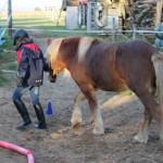 Führtraining stärkt das Selbstbewußtsein.