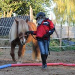 DAs Pferd spiegelt oft den Patienten